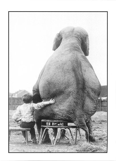 Photographies ANONYMES